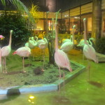 メヒコ - 求愛中です