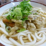 三角茶屋豊吉うどん - 天ぷらうどん＋ごぼう天：オリジナル盛り合わせ