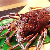活伊勢海老の鉄板焼（1尾）☆要予約☆