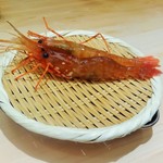鮨 銀座 おのでら - (2015.4)ぼたん海老が登場