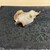 鮨おくやま - 料理写真: