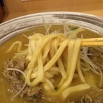 太閤うどん - うどんももっちり