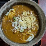 めん房 新月亭 - 刻みネギと天かすが良い