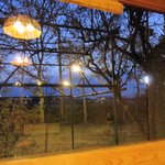 森のおはな - 店内から外を見て。陽が暮れてきました