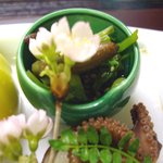 旅亭 萬葉 - 山葵、芹、土筆、白胡麻ひたし.飯蛸旨煮、木の芽添え.JPG