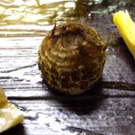 旅亭 萬葉 - 石川芋.JPG