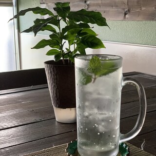 アラブ料理専門店 七つの丘 SEVEN HILLS_1