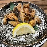 駱駝別邸 - 