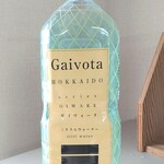 エンデバー トゥゴー - がイヴォータ