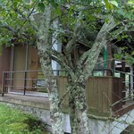 ナマステ - 