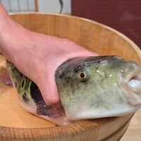 泳ぎとらふぐ活蟹料理 あじ平 - 