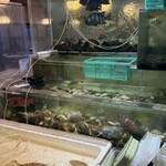 海鮮うまいもんや 浜海道  - 
