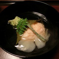 山茶花 - 