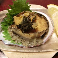 山茶花 - 