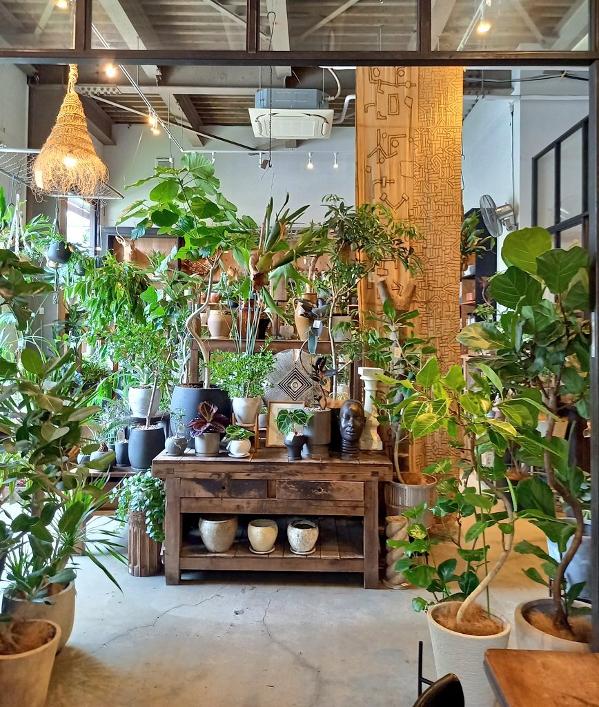 写真 : CASICA TABLE （カシカテーブル【旧店名】Arkhē apothecary
