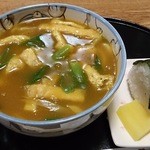 藪そば - お蕎麦屋さんのカレーうどんとおにぎり　￥620円