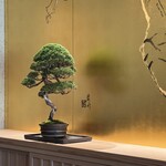 茶寮哲心 - 