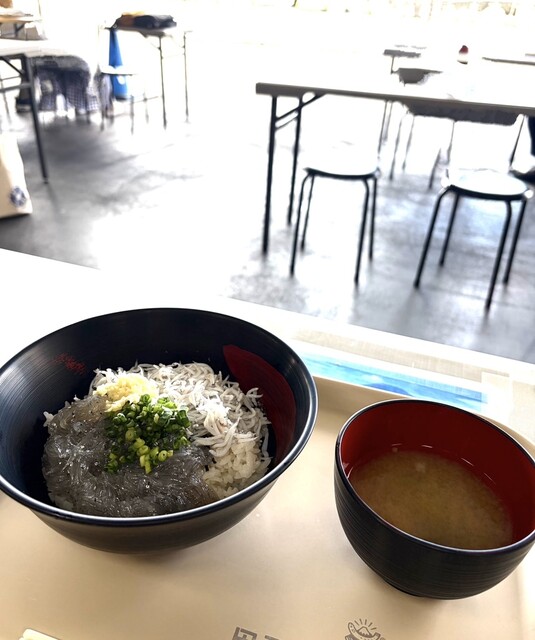 Tagonoura Ko Gyokyo Shokudo - Yoshiwara/Kaisen-don (Seafood bowl