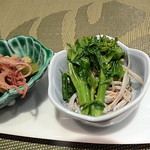 菜の花としんこ