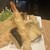 ISOGAMI　FRY　BAR - 料理写真:季節の天ぷらもりあわせ