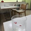 ローズギャラリーカフェ