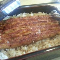 天然うなぎ しま村 - 天然鰻　お重　松