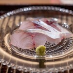 鎌倉 北じま - 2026.6 当日水揚げ神経〆真鯵お造り