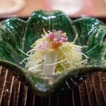 鎌倉 北じま - 2026.6 アオリイカ ばちこ 細切りの夏野菜 梅肉
