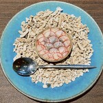 ノット - 