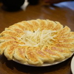 Ishimatsu Gyoza Hon Ten - 大２０個