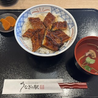 うなぎの駅_0