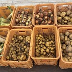 NAMEGATA 米こ バウムクーヘン - 野菜など
