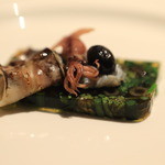 連理 - 「朝採りわらび・せり・ふきのテリーヌ しらすのタルタルにホタルイカ・トリ貝」