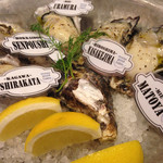 オーシャン グッド テーブル - 