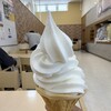 岩泉Cafe - ヨーグルトソフト（普通サイズ）＠450