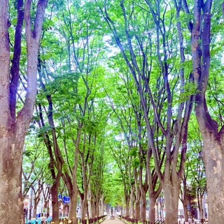 仙令鮨_2