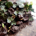 クイントカント - この中にファアグラ