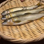 日本料理 太月 - 