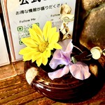 居酒屋 河童 - 