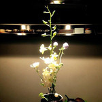 ワインバー フレンド書房 - 