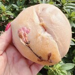 Bagels Panpan. - 