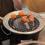 トリホルテルヤ - 