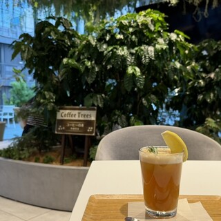 ネスカフェ_1