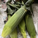 サンショップ - １本１００円！