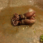 うを徳 - 富山のホタルイカ