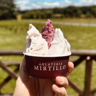 口コミ一覧 ミルティーロ MIRTILLO - 長都 ジェラート・アイスクリーム