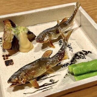 京料理 阿うん_0
