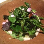 カセント - サラダ