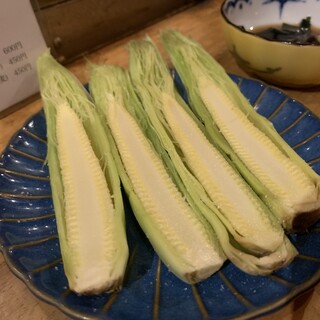 カドナシヤ_2