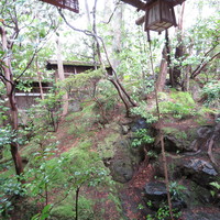 瓢亭 本店 - 庭